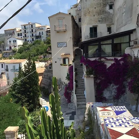 アパートホテル Florenza