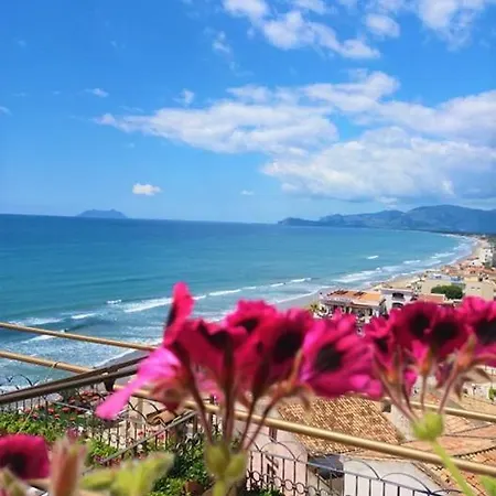 Florenza スペルロンガ