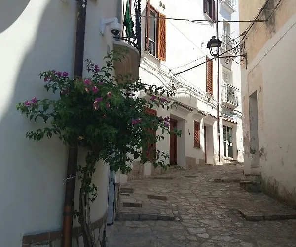 Florenza Hotel apartamentowy 3*