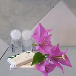 Florenza 3*
